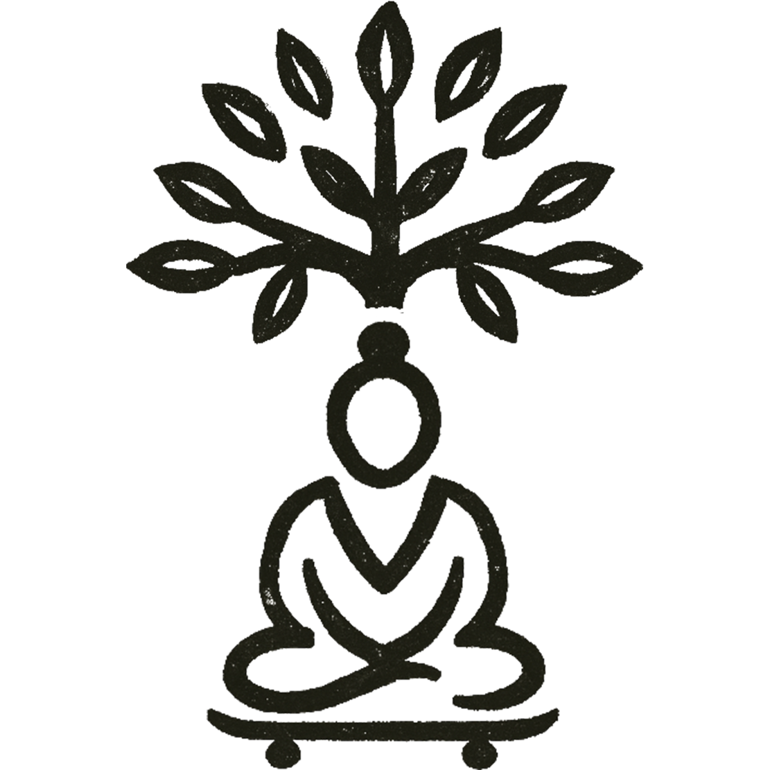 Bodhi Tree Skateboard NEW